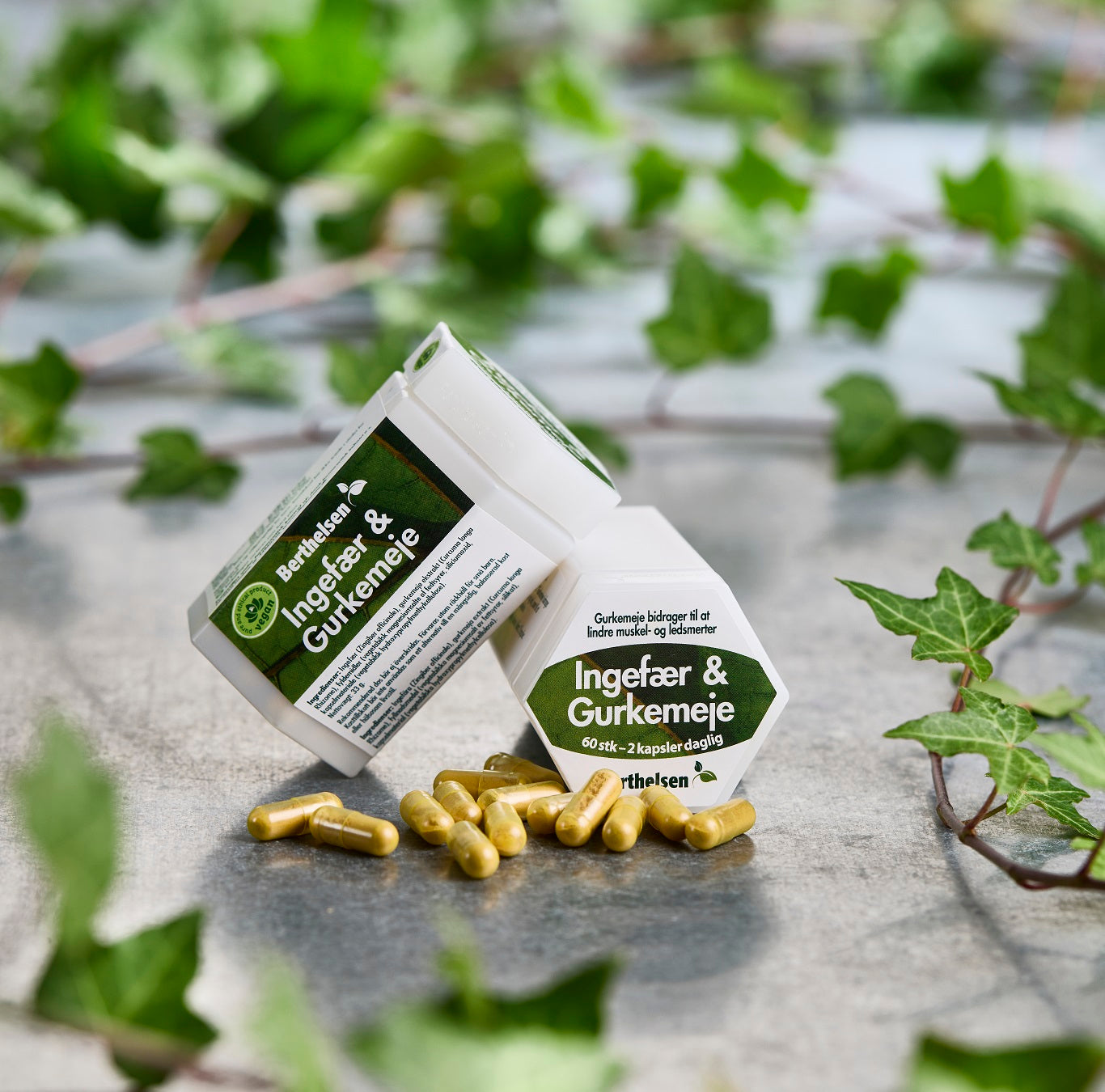 Ingefær og Gurkemeje